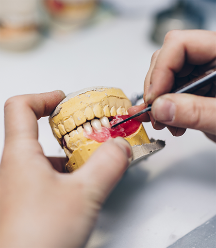 Working on model of teeth and gums